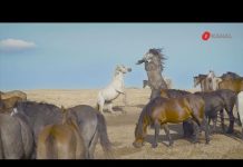 Tour de BiH: Najosunčaniji grad u Bosni i Hercegovini – Livno