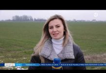 Dnevnik 1 – 07.03.2022.