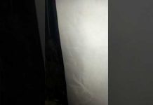 Policija u Sarajevu pronašla 7,7 kg marihuane i 131 stabljiku