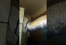 Pogledajte laboratoriju za proizvodnju marihuane u centru Sarajeva