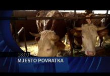 HAYAT TV: MJESTO POVRATKA – najava emisije za 12 03 2022