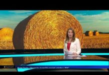 NEĆEMO OSTATI GLADNI! HADŽIĆ I PAVLOVIĆ U 7PLUS: UKIDANJE AKCIZA ĆE POKAZATI BRIGU O GRAĐANIMA