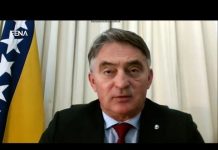 Komšić upozorio Evropski parlament na maligni ruski utjecaj na zapadni Balkan i BiH