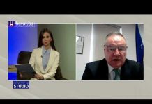 U AUSTRIJI ŽIVI OKO 170.000 LJUDI IZ BIH:AMBASADOR KOZARIĆ O SARADNJI I VEZI IZMEĐU OVE DVIJE ZEMLJE