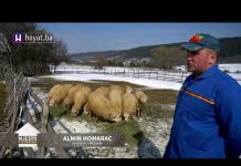 MJESTO POVRATKA: ALMIN JE NAJMLAĐI POVRATNIK U MIČIVODE. DERVIŠA IZBJEGLA SIGURNU SMRT