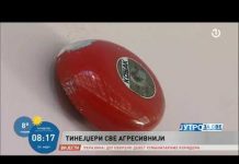 Vladimir Vasić o maloljetničkoj delinkvenciji