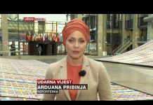 Šta je ‘privremena zaštita’ za ukrajinske izbjeglice?