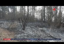 Potvrđeno za O kanal: Sanirani svi požari iznad Zenice