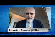 EROL AVDOVIĆ ZA HAYAT O GLASANJU SRBIJE I BIH U GENERALNOJ SKUPŠTINI UN