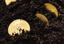 kriptovalute-bitkoin-bitcoin-scaled-1