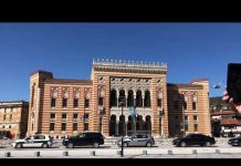 500 golubova mira pušteno ispred Vijećnice