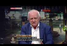 Janjić: Vučić mora donijeti odluku gdje gura Srbiju