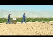 Hrvatskim poljoprivrednicima pomoć EU-a iz kriznih rezervi