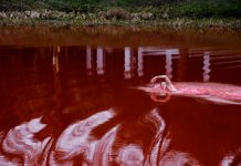 Poslala jasnu poruku Putinu: Olimpijska prvakinja zaplivala u “krvavom” jezeru