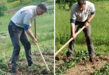 Fadil Novalić iskoristio slobodan dan: Okopao pola bašte!