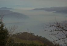 Zagađenje donosi sterilitet, rak, kardiovaskularna oboljenja