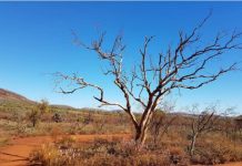 Naučnici potvrdili – ovo je najstarije mjesto na svijetu
