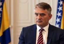 Komšić: Plenković puno uspješniji u pravljenju štete interesima BiH od Milanovića