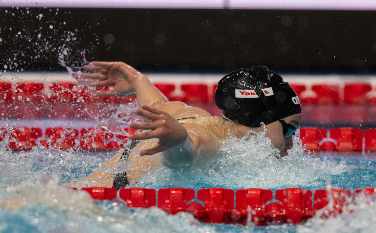 873x400-11
