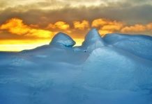 Prvi put otkrivena mikroplastika u novom snijegu na Antarktiku: “Tužno”