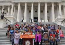 SAD: Predstavnički dom usvojio zakon o kontroli naoružnja