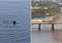 Drama u SAD: Zapalio se voz, putnici bježali kroz prozore