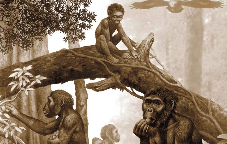 Africki-preci-0142947106-946x600-1
