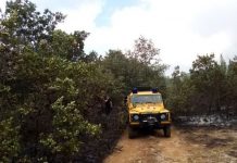 Drama kod Trebinja: Vatrogasci spriječili prodor vatre prema solarnoj elektrani Zupci