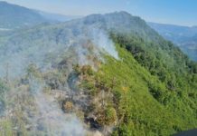 GORI ŠUMA NA MINIRANOM TERENU KOD KONJICA