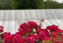 Srebrenica 27 godina poslije – Činjenice o genocidu su neoborive