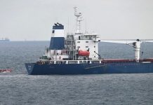 Iz Ukrajine isporučeno više od milion tona žitarica