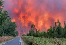 Francuska se bori sa mega požarom u blizini Bordeauxa
