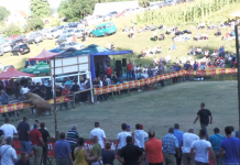 VIDEO / Bikovi na koridi kod Olova probili zaštitnu ogradu, jedna osoba povrijeđena