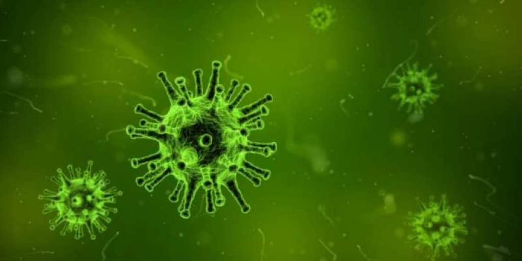 koronavirus-1024x512-1