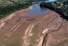 Suša proglašena u osam područja Velike Britanije, izvor rijeke Temze sušniji nego ikada