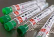 SZO: Epidemija majmunskih boginja usporava u Evropi