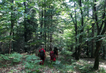 Uspješna akcija: Pronađen planinar koji je nestao jučer na područuju Tajana