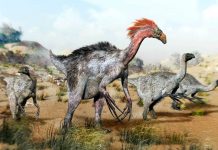 Imao je ogromne kandže oštre poput noževa: Otkrivena nova vrsta terizinosaurusa u Japanu