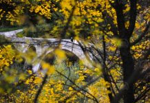 U Bosni i Hercegovini danas sunčano, slično vrijeme i narednih dana