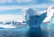 Naučnici ispod leda na Antarktici pronašli zapanjujući organizam star milion godina i to sasvim slučajno!
