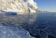 NAUČNICI UPOZORAVAJU: NOVA PANDEMIJA NEĆE OD ŠIŠMIŠA, ALI OD LEDA BI MOGLO
