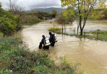 Crna Gora: Tri osobe poginule nakon slijetanja vozila u rijeku Zetu