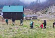 Konjički planinari zasadili 2.000 sadnica smreke, crnog bora i munike