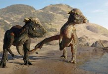 Upoznajte ‘čudaka’ iz krede: Kretali su se poput kengura i jeli su biljke iako su imali zube kao mesožderi