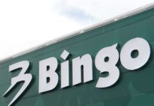 Bingo_logo-696×566-1
