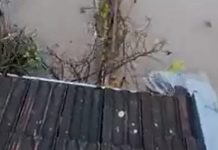 Novi apokaliptični snimci: Pogledajte potopljen bh. grad