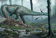 Šta su jeli prvi dinosaurusi? Otkriće koje je pružilo objašnjenje za njihov evolucioni uspjeh