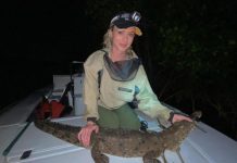 GOLIM RUKAMA HVATA ZMIJE: Kolegama padaju vilice od izgleda i postupaka najatraktivnije naučnice na svijetu