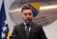 Košarac: Obezbijedti kontinuitet primjene niže carinske stope na uvoz novih električnih vozila