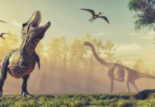 Kako je zvučao svijet dinosaurusa? Paleontolozi imaju novu teoriju i ona ima veze sa – gugutanjem